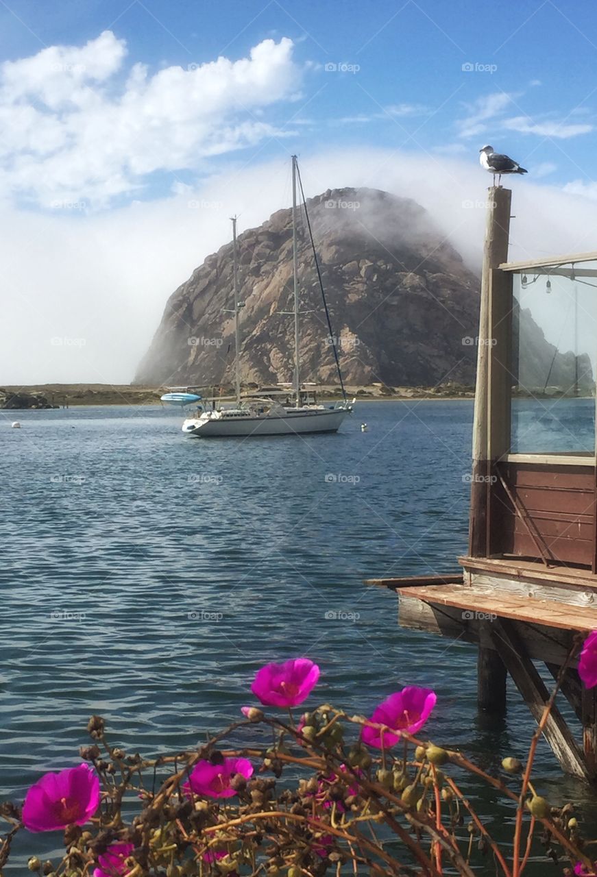 The mist arrives in Morro Bay , California , while a seagull watches from above , enjoying the last moments of sunshine. 