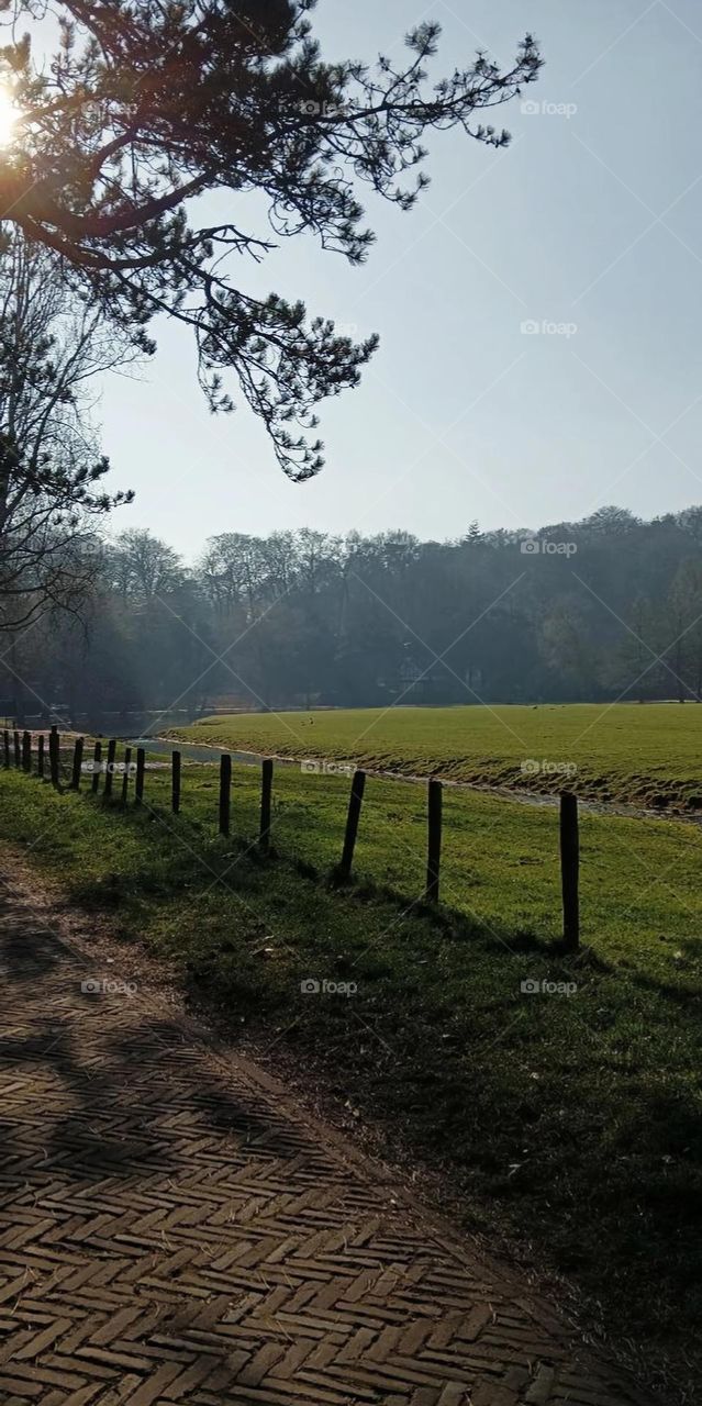 A calm morning in a sunlit natural setting