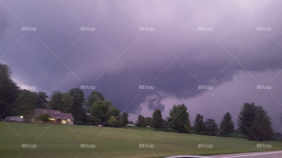 Landscape, Tree, No Person, Golf, Sky