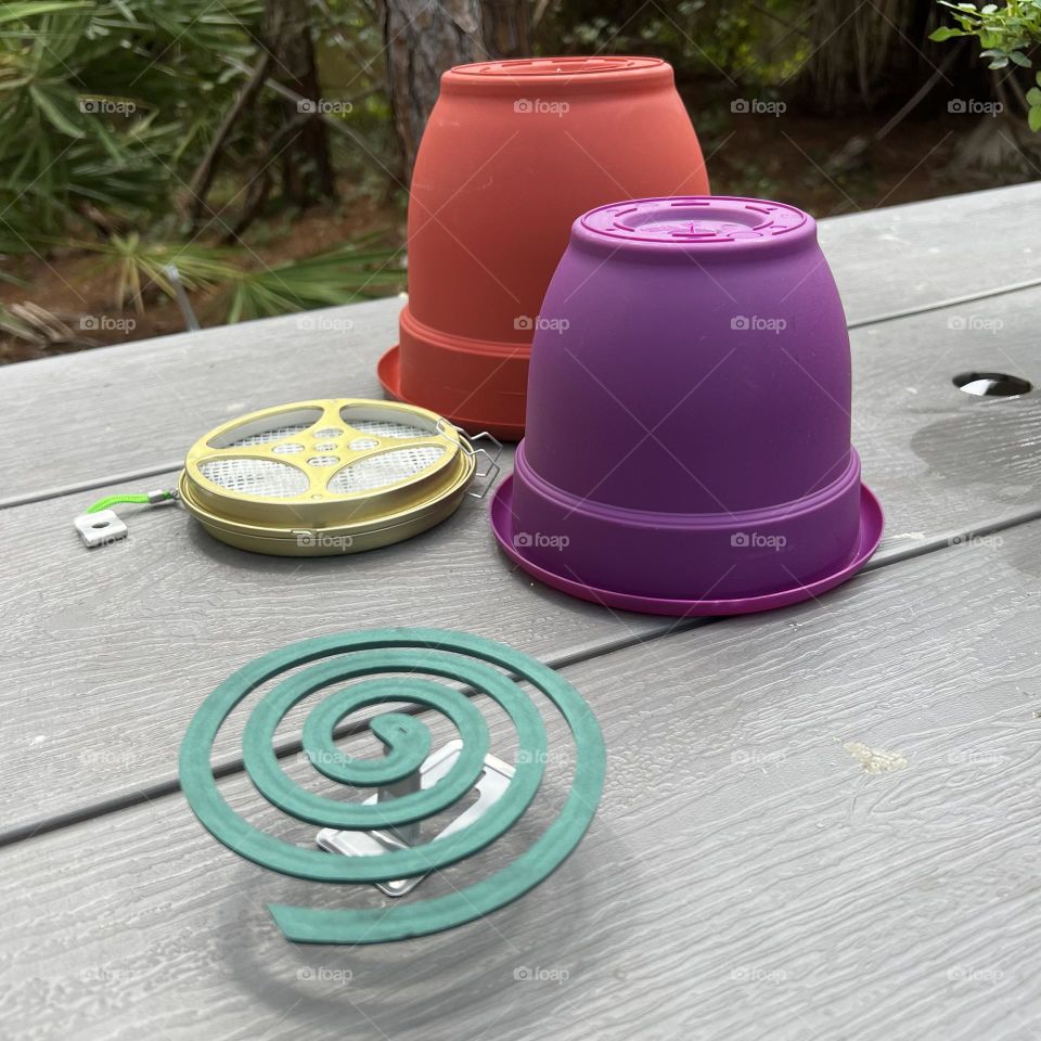 Complimentary colors in the garden.