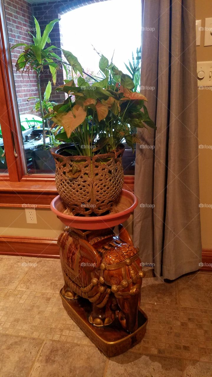 plant on ceramic elephant in living room.