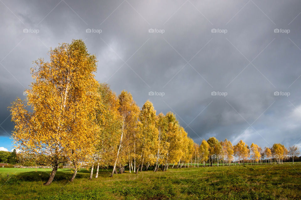sweden clouds fall autumn by peo