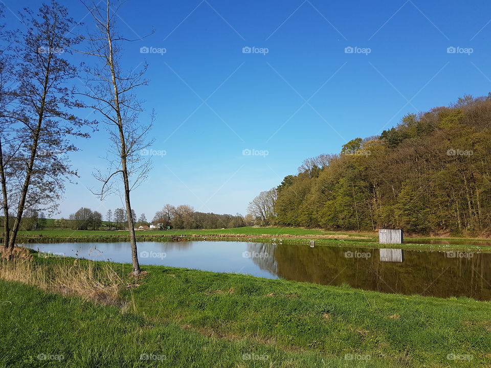 spiegelung im wasser