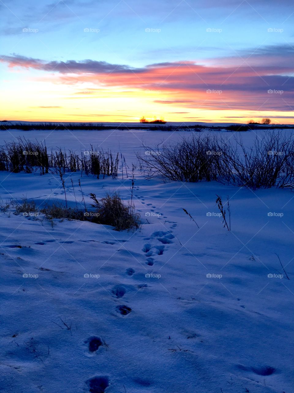 Footprints in the snow