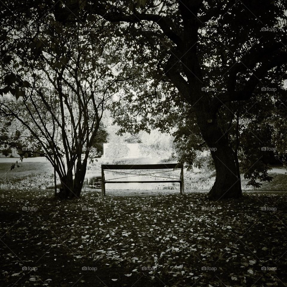 Come sit with me (2)