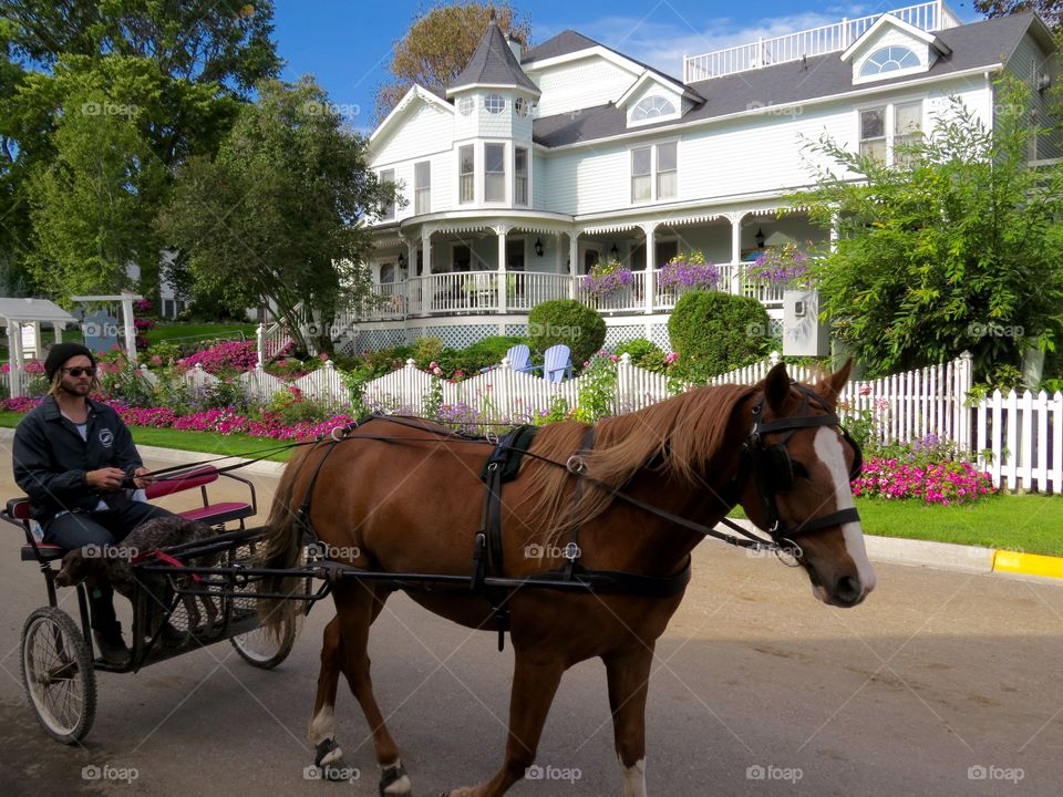 Mackinac Island, MI. Carriage on Mackinac Island, MI