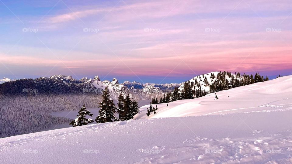 Pink haze, perfect days 