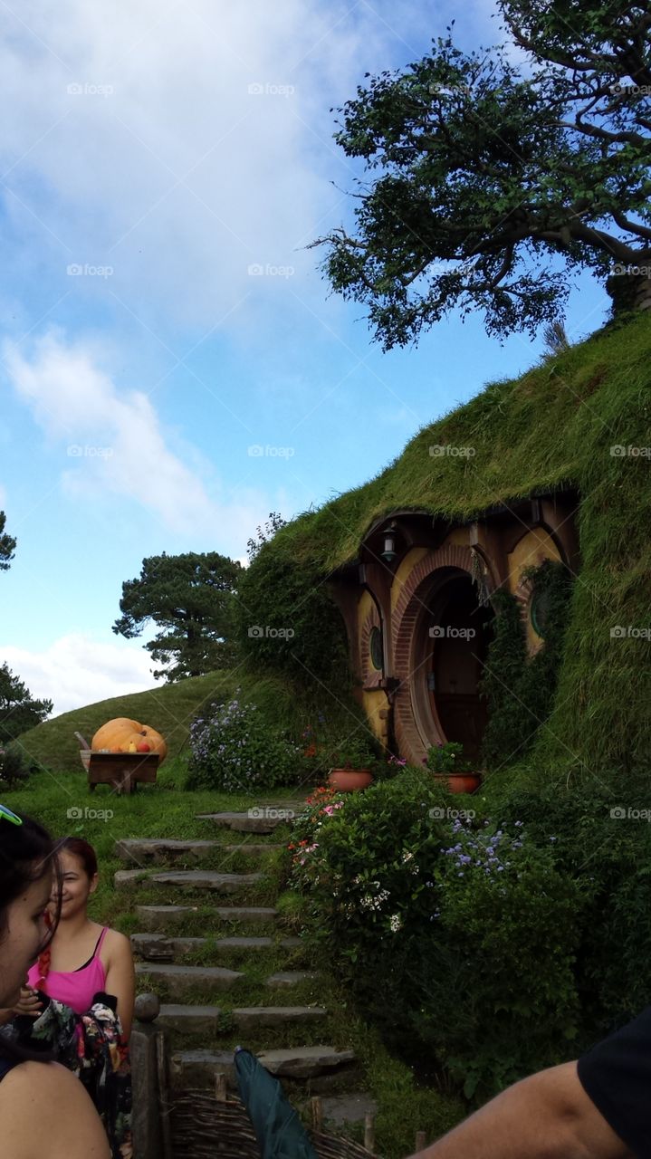 House of Hobbit