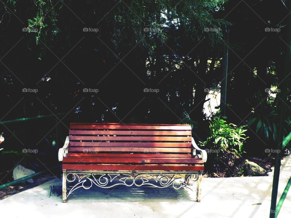 The bench