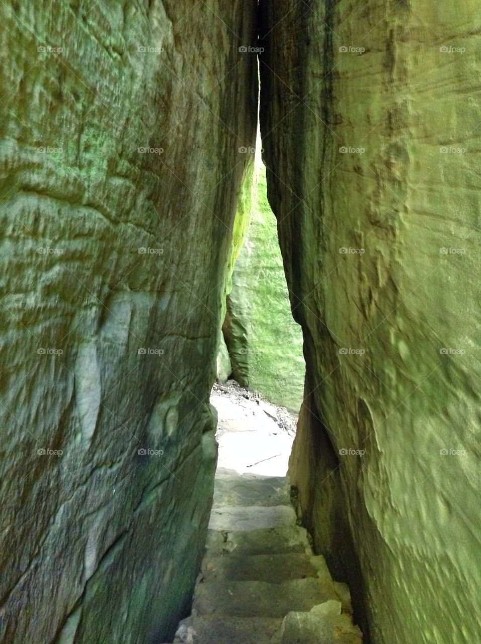 Shawnee national forest 