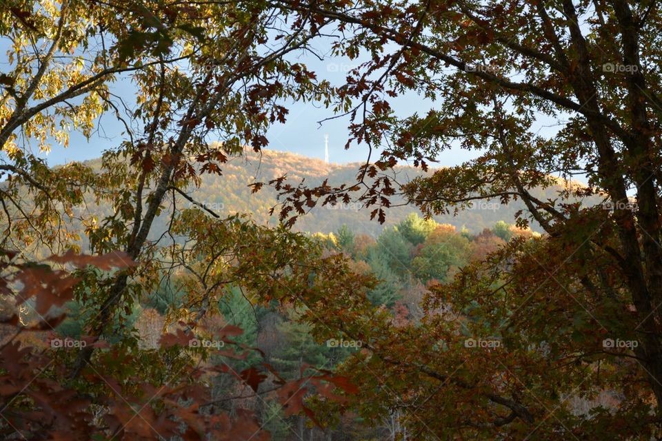Fall Colors on the Blue Ridge Mountains