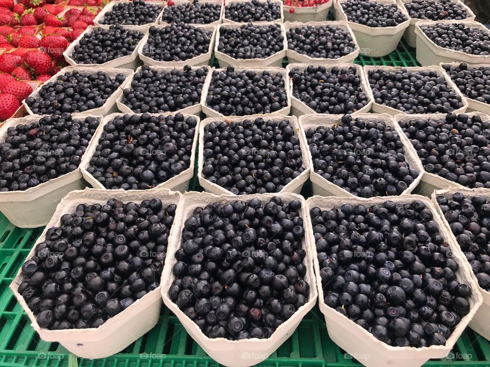 Blueberries