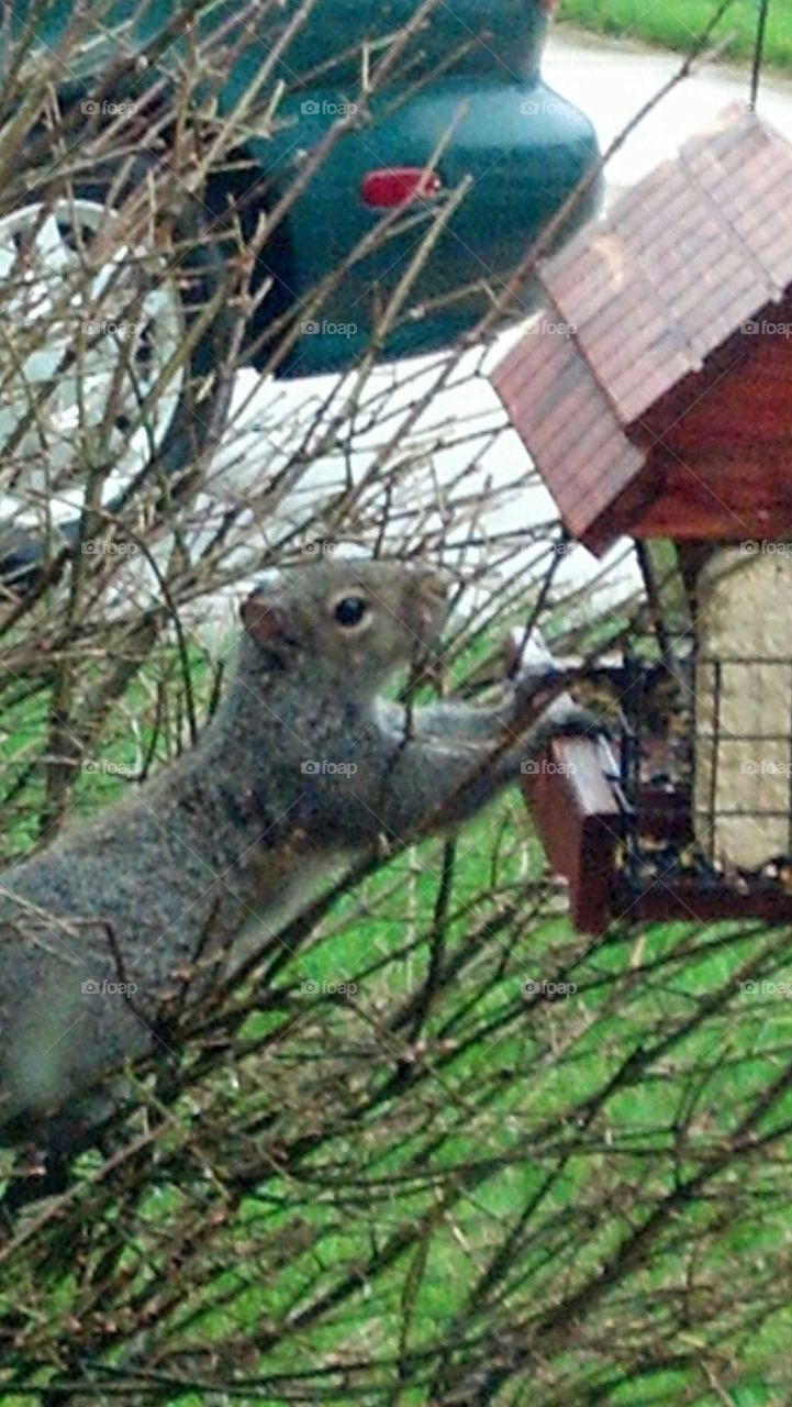 stealing a snack