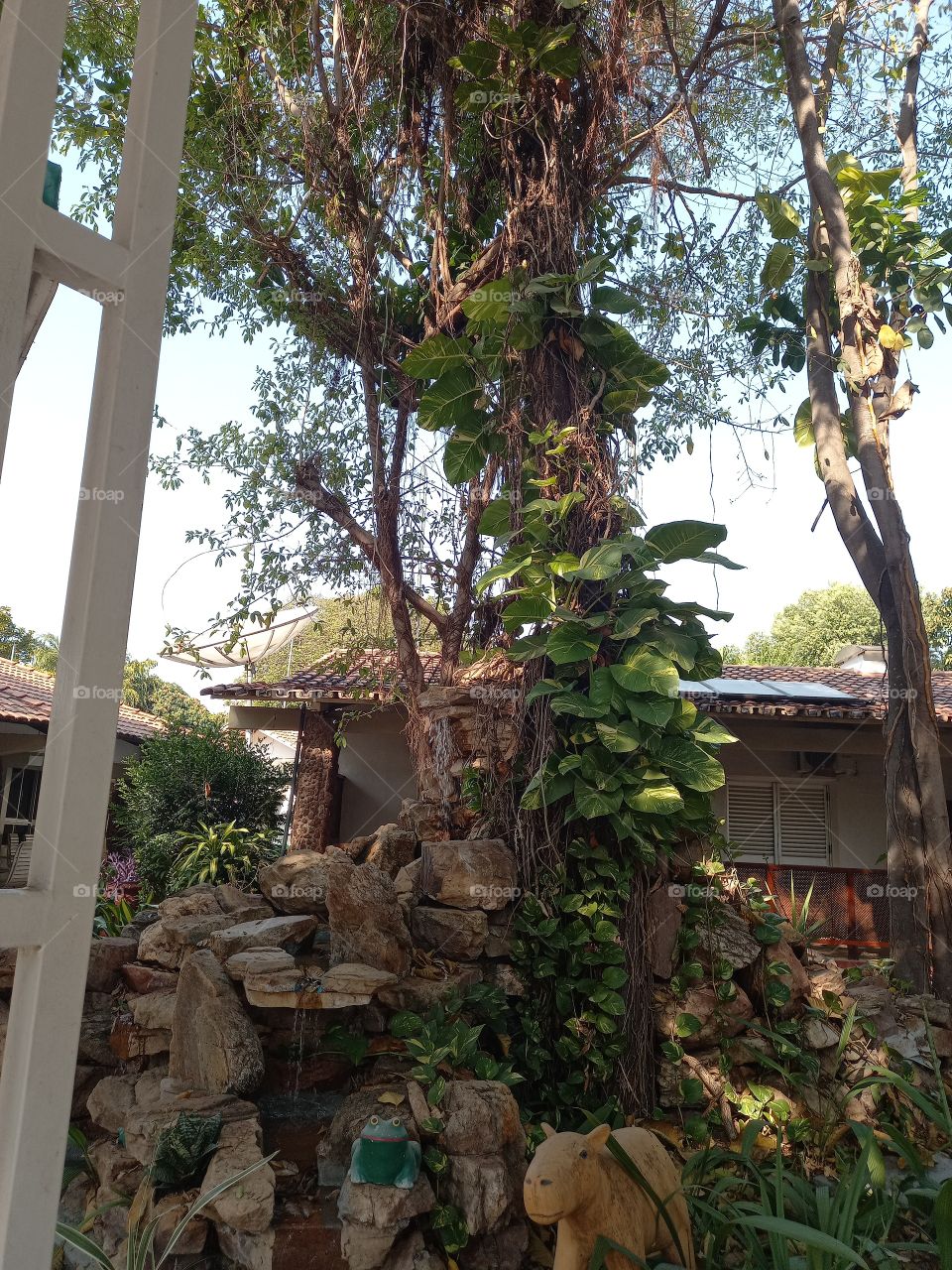 SESI EM ARUANÃ GOIÁS.