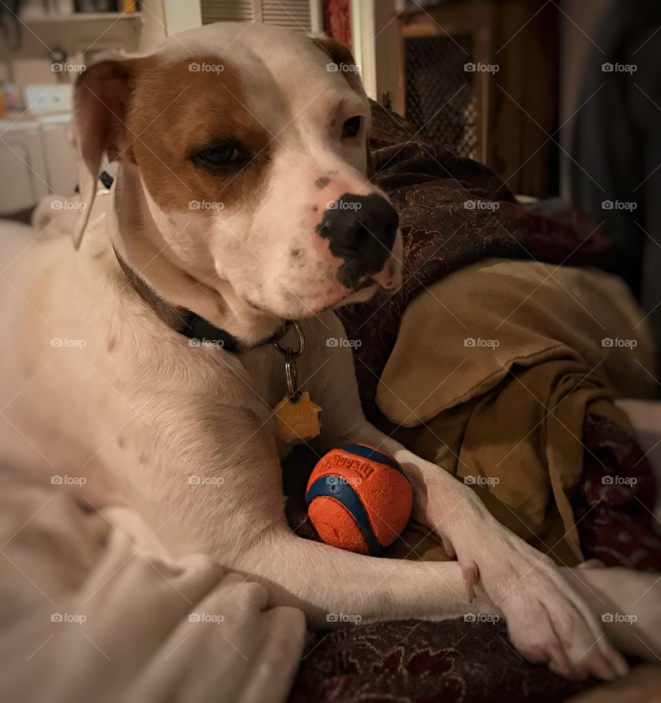 Miss Mickey and her Ball