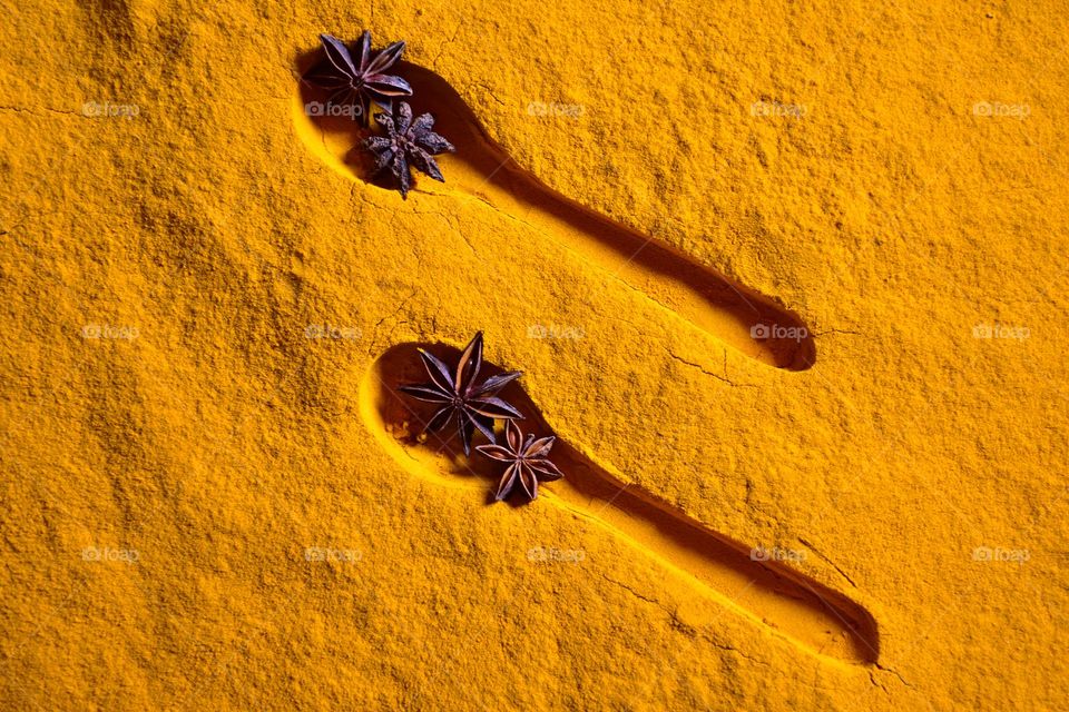 star anise on turmeric powder