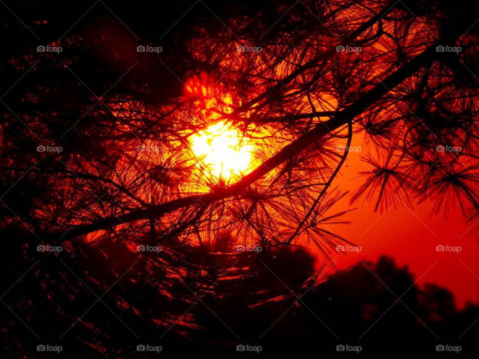 Beautiful sunset view