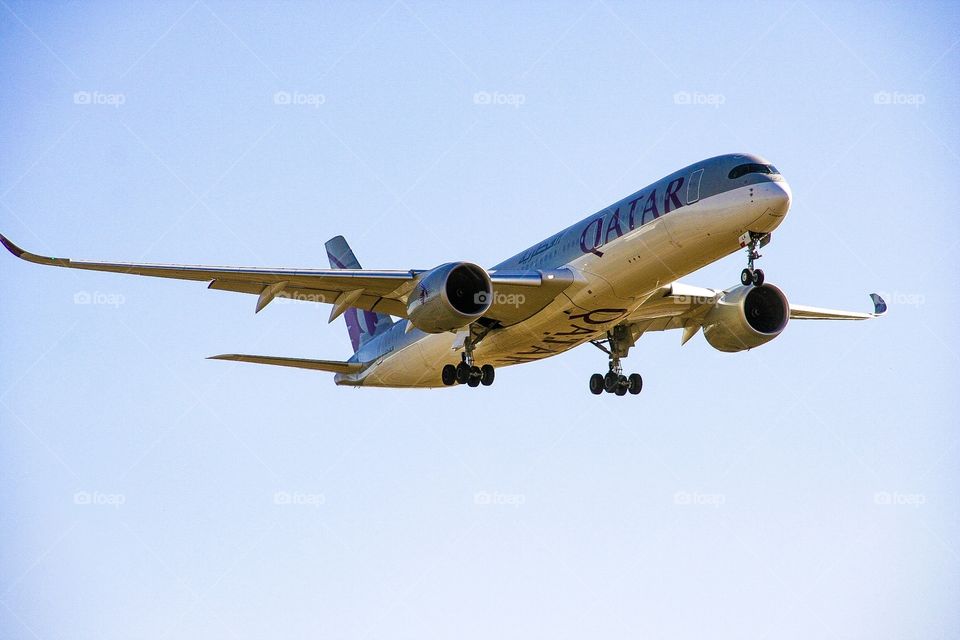 Love this pic of this airplane landing with wheels out and nose ready to touch down