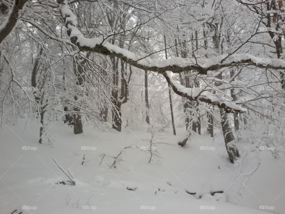 winter time mountain with snow. winter time mountain with snow