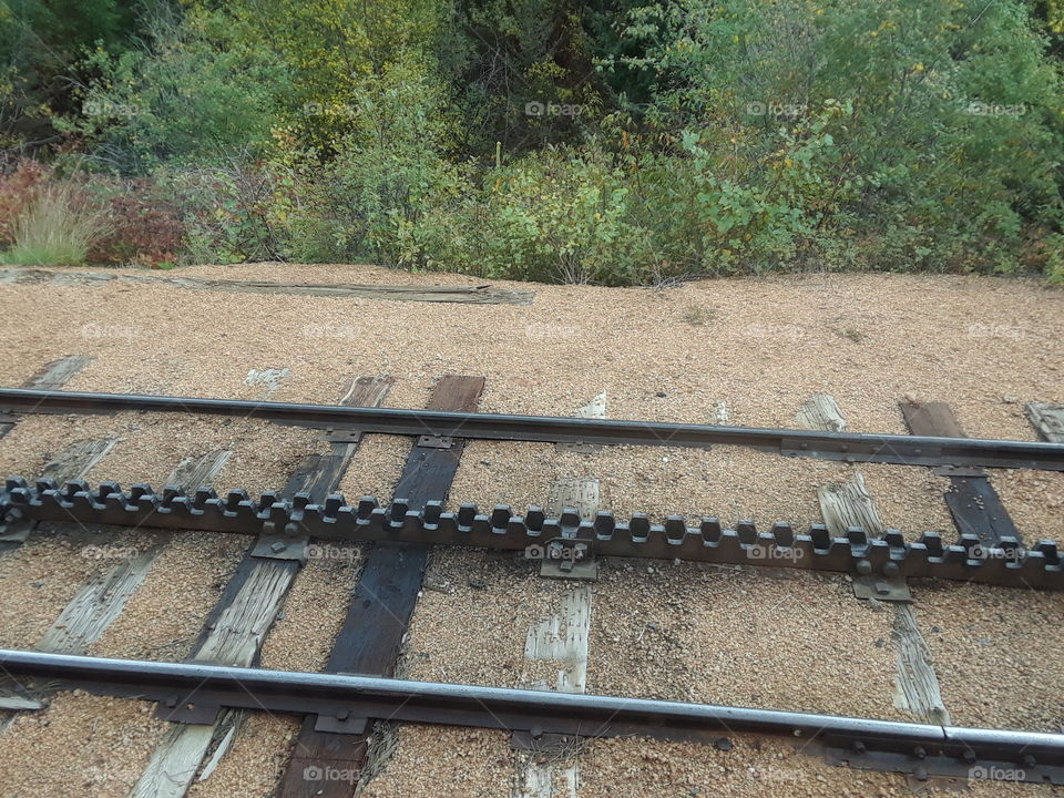 cog railway