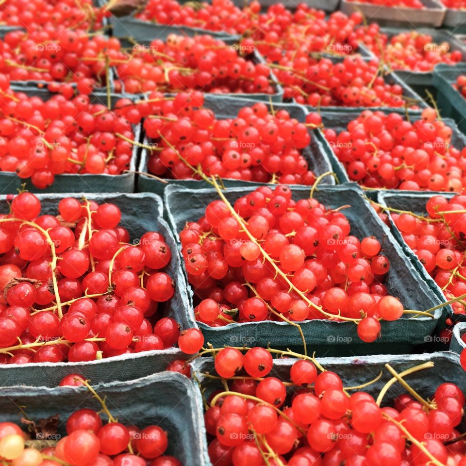 Red Currants in NYC. Union Square Farmers Market
