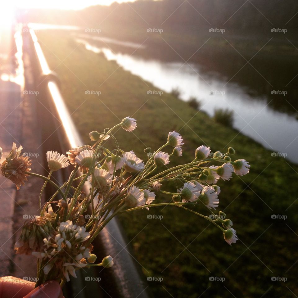 Flowers and river  