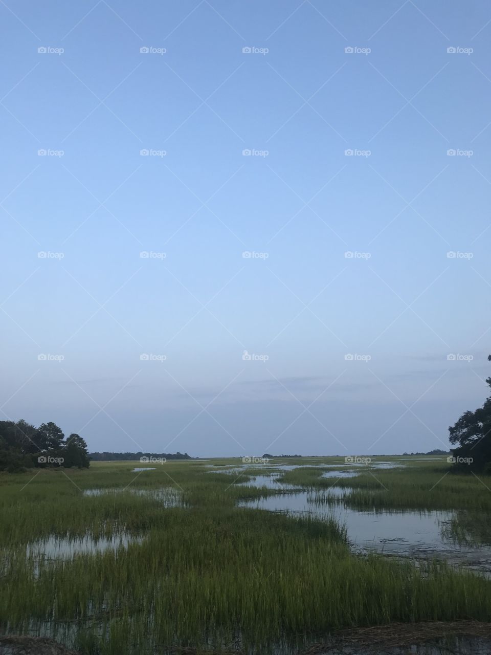 The cool setting of wetlands in Murrels Inlet, South Carolina. A faint circle of the moon can be spotted in the background.