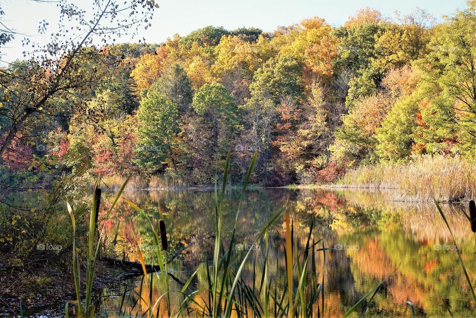 Lake Artificial Olana