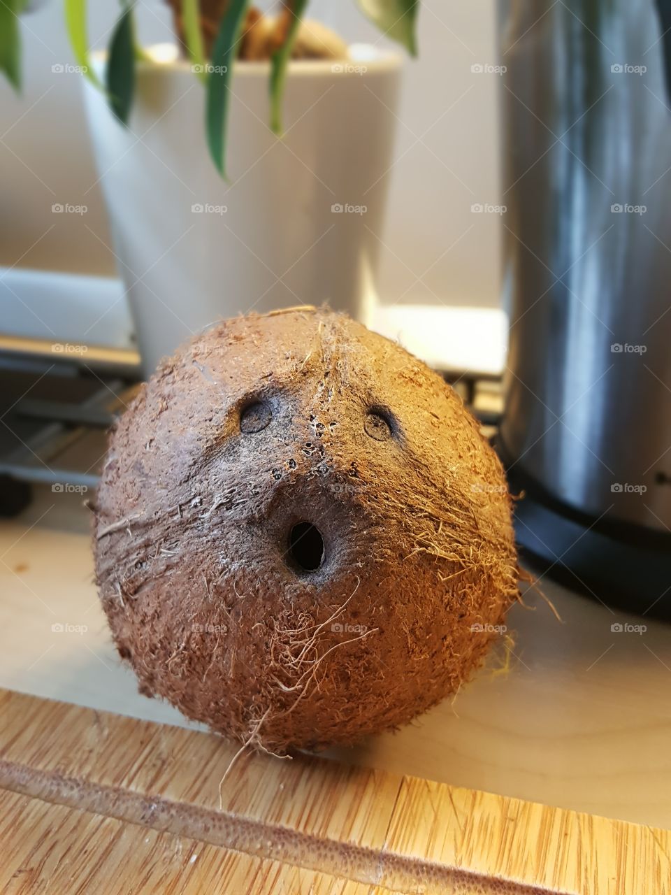 Terrified coconut
