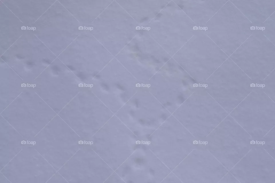 Spuren im Schnee