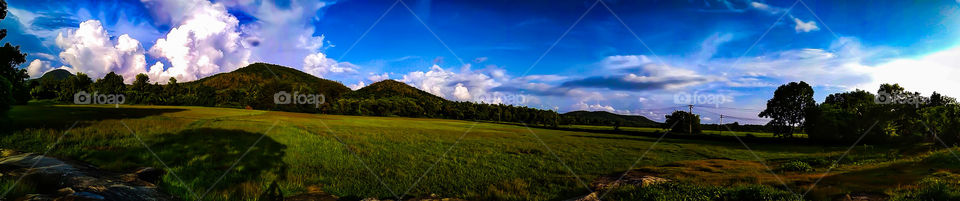 paddy fields beautiful nature panorama