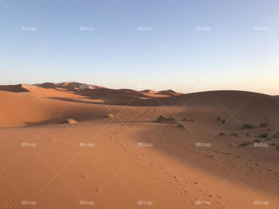 inside the beautiful nature of the sahara