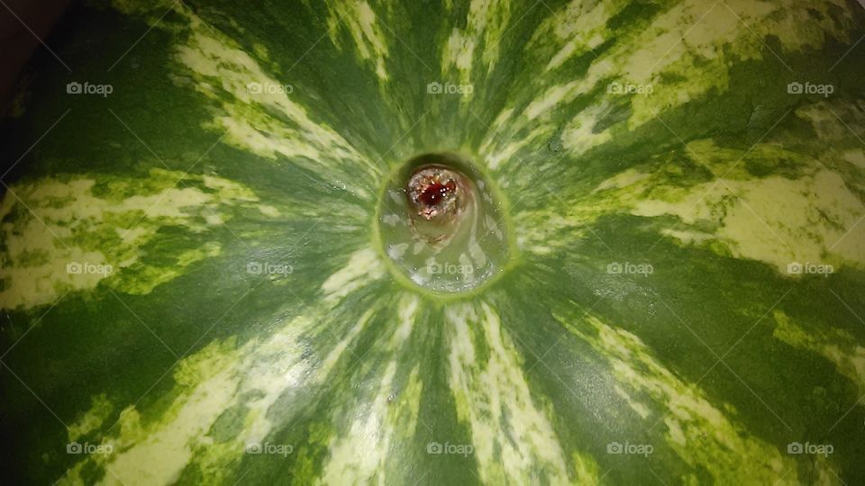 Melon button