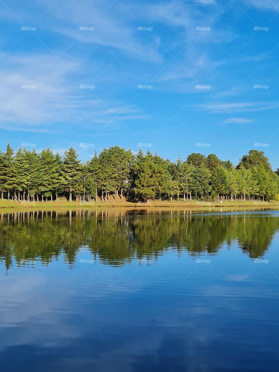 lake reflection