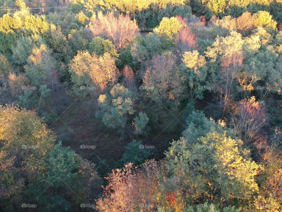 October Drone View