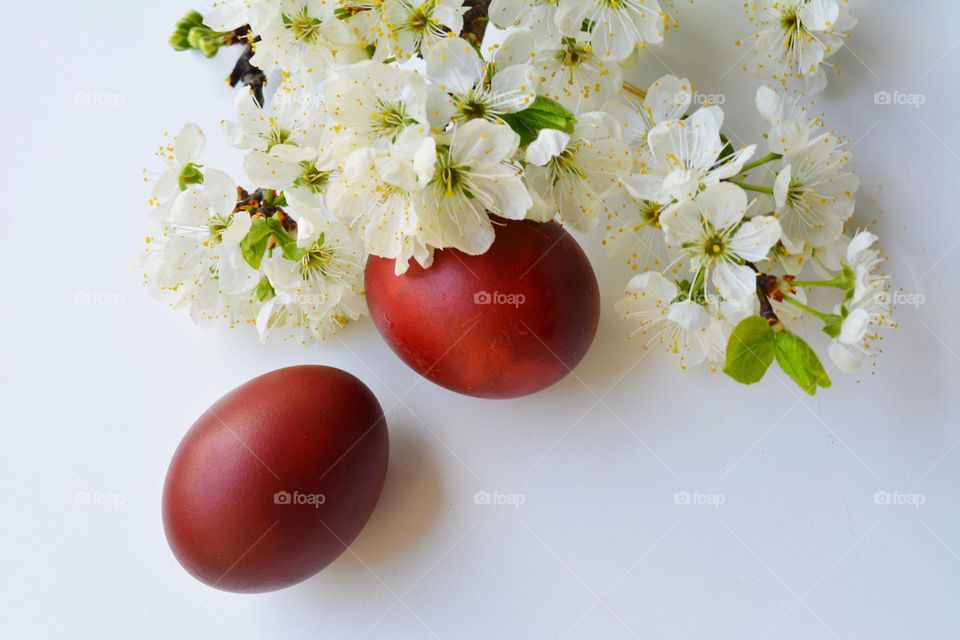 Easter eggs and flowers spring holiday