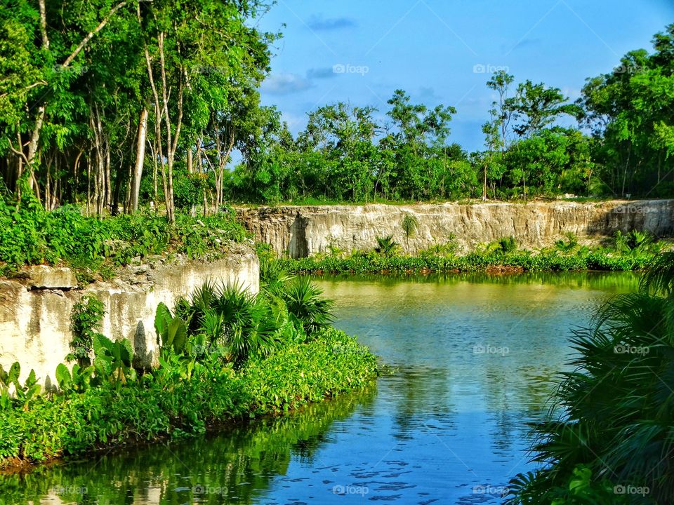 Tropical Lagoon In Mexico
