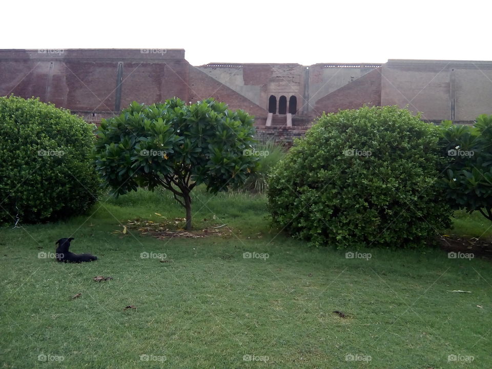 an ancient fort of Bathinda city- a monument protected by Govt Of India- inner part