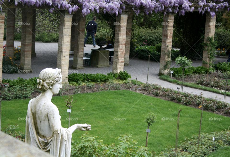 Statue in the garden