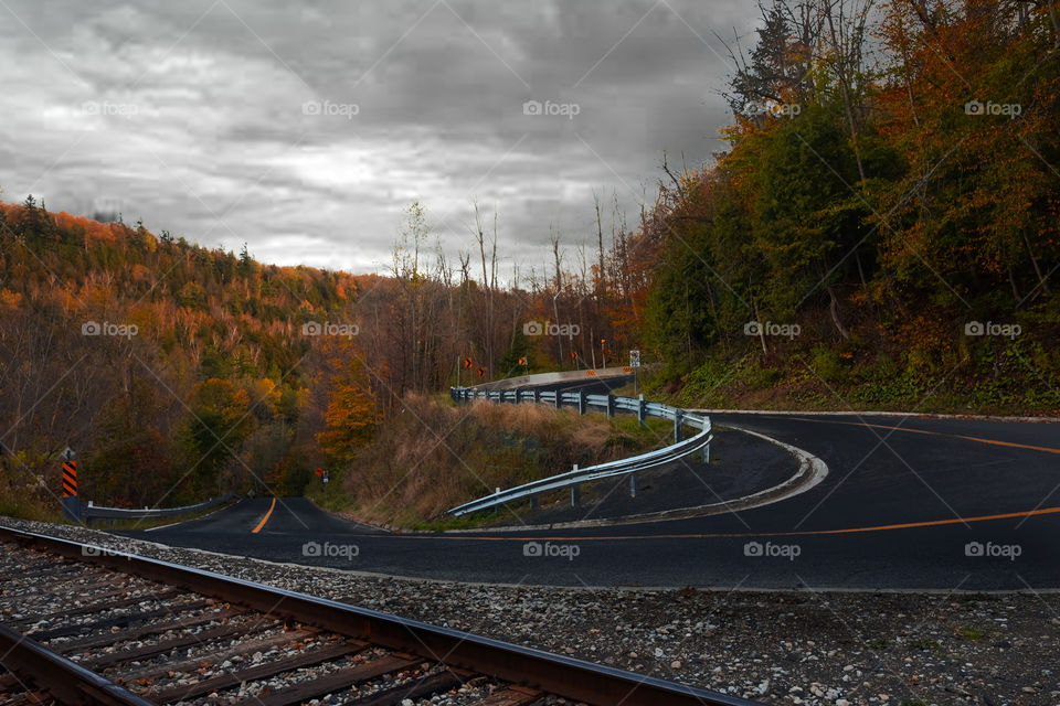 s curve at forks of the credit