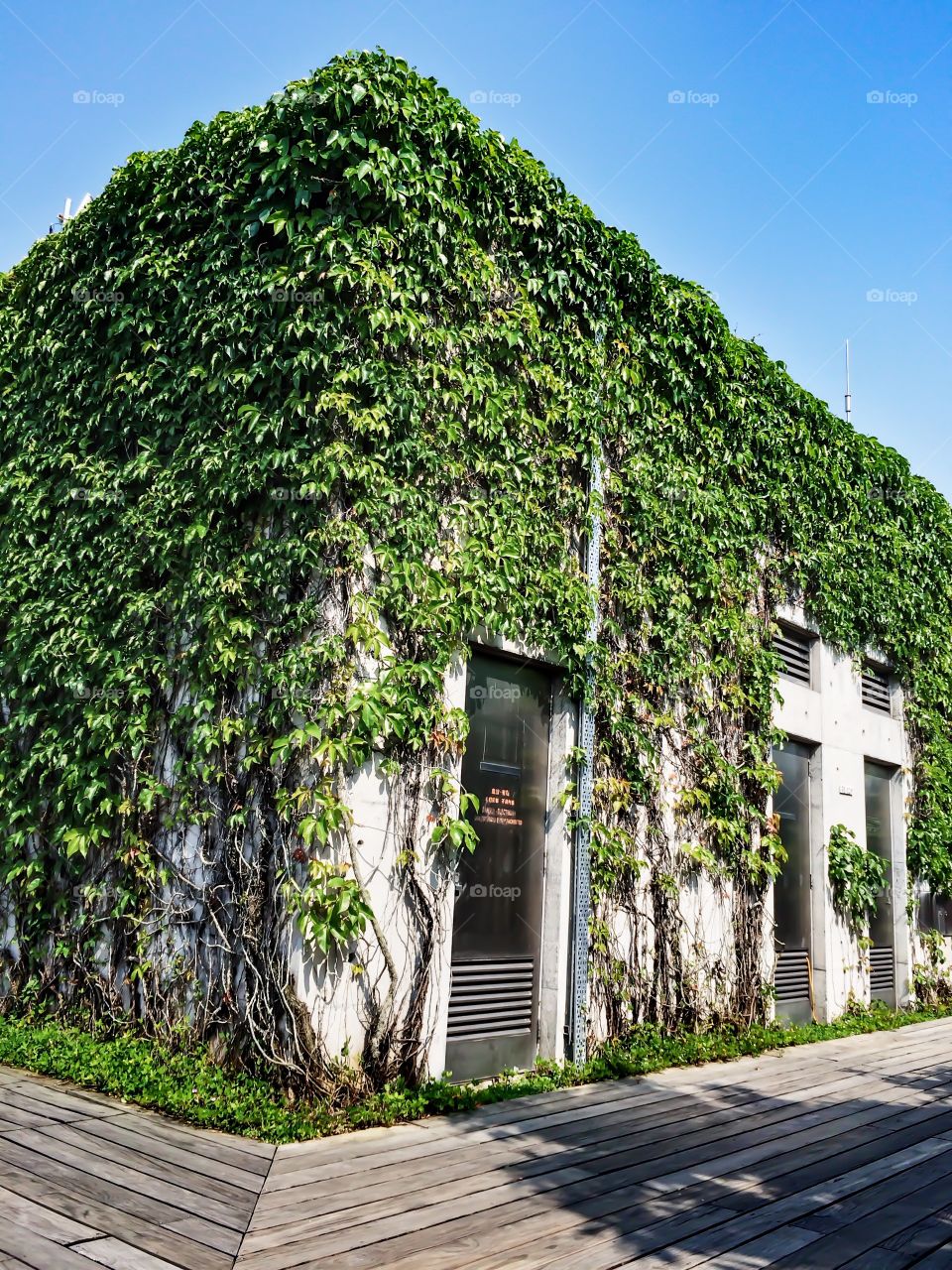 Green building . Green building at Hong Kong wetland park