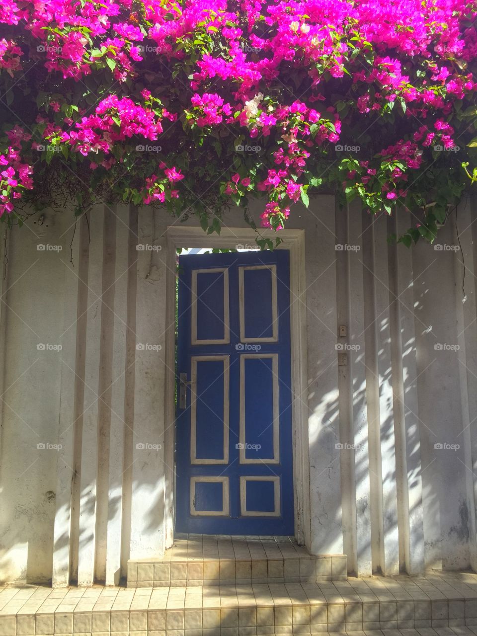 Door with bougainvillea 