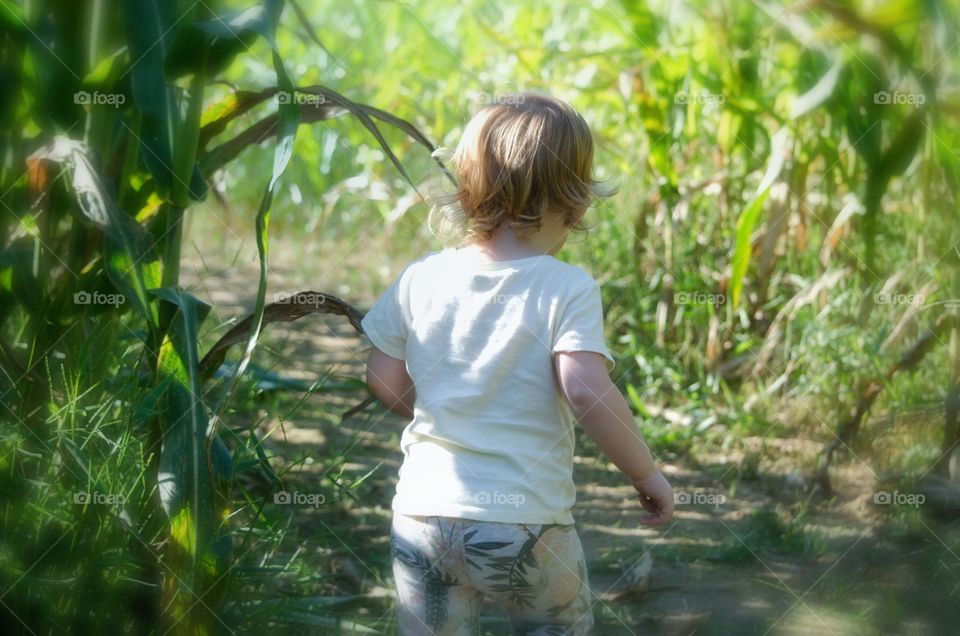 fun on the farm