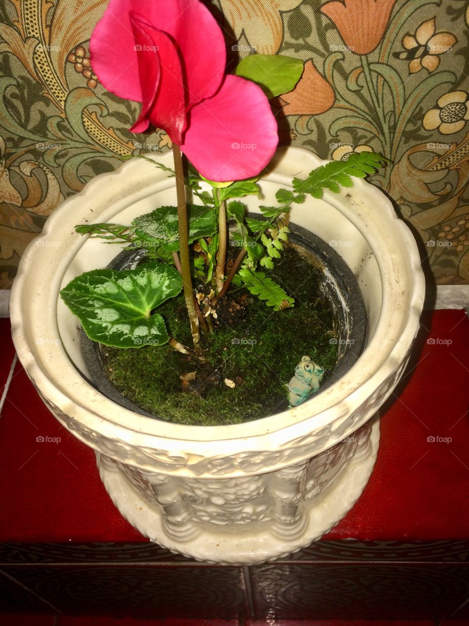 A Little world In A pot loves where it lives reminds you all the time;)