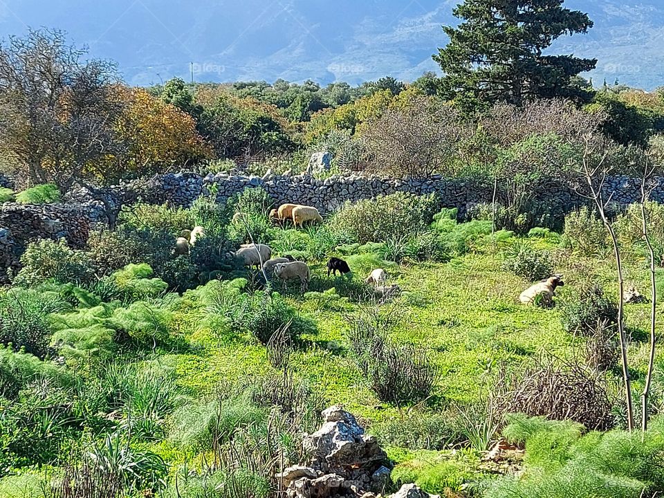 Crete countryside