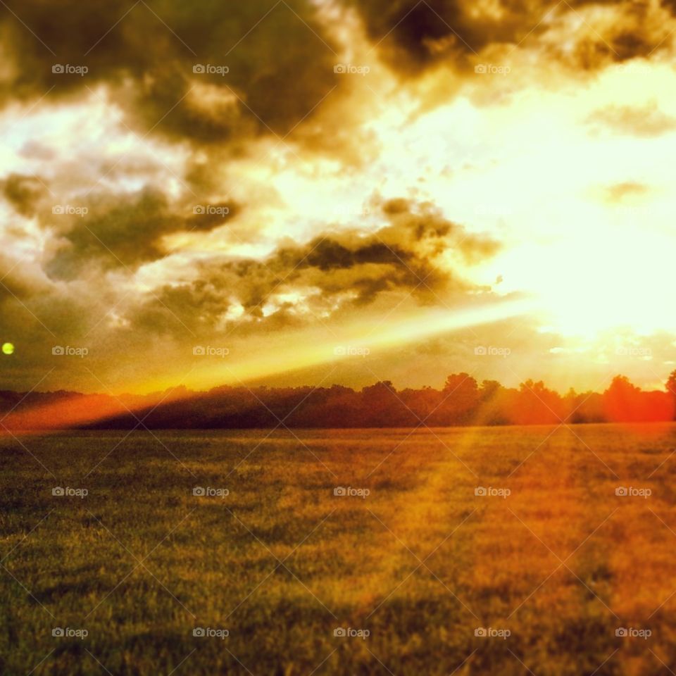 Sunshine Over the Lands