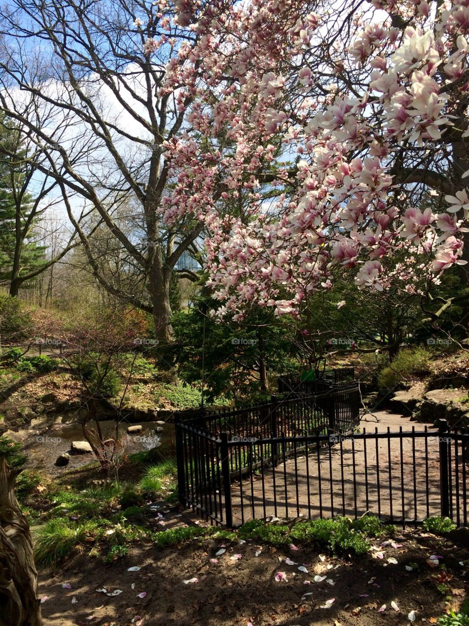 spring in high park Toronto 