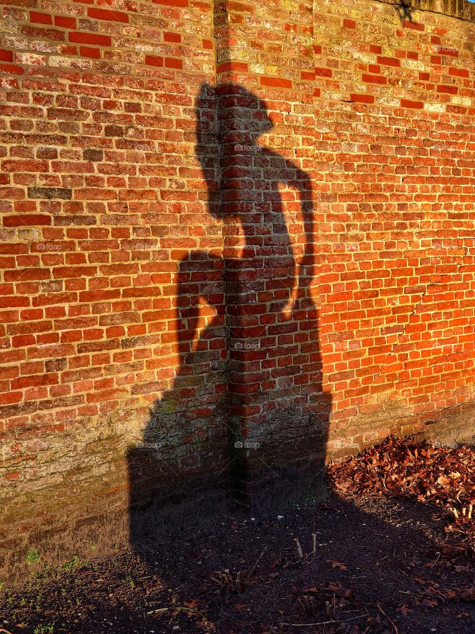 Shadow of a statue