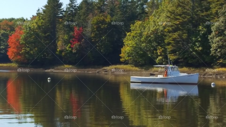 Union River Ellsworth,  Maine