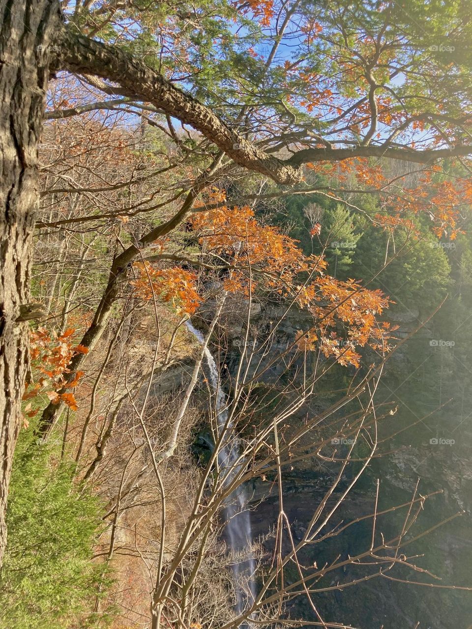Haines Falls in the fall